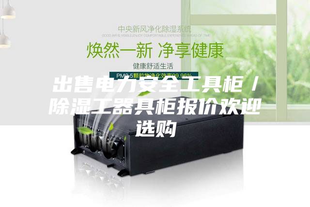 出售电力安全工具柜／除湿工器具柜报价欢迎选购