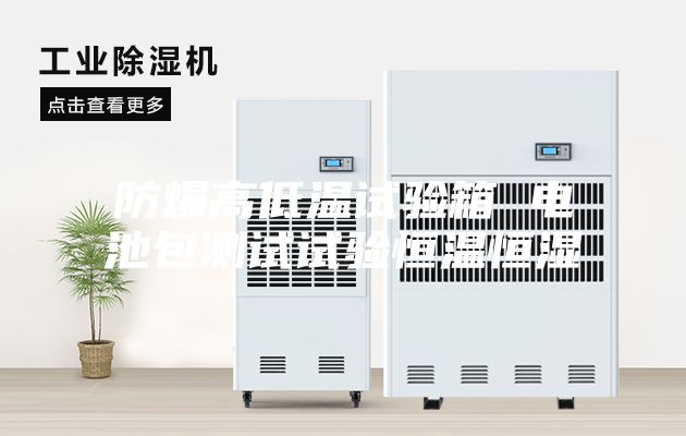 防爆高低温试验箱 电池包测试试验恒温恒湿