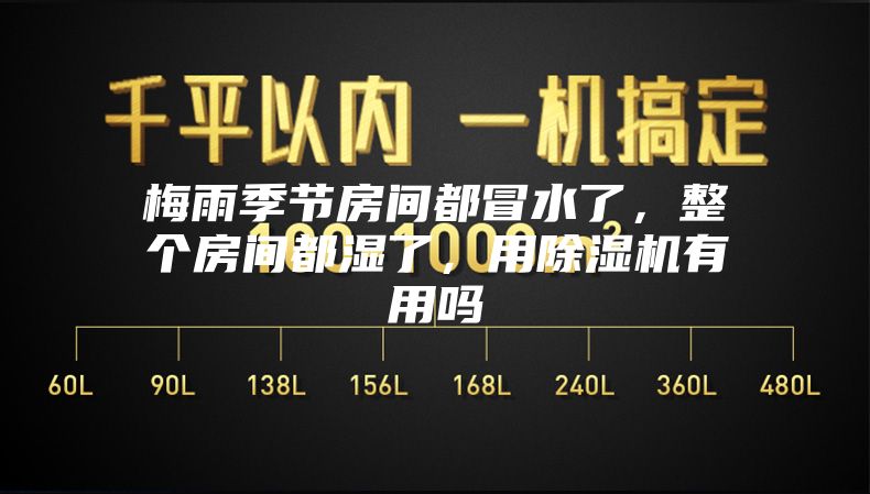 梅雨季节房间都冒水了，整个房间都湿了，用除湿机有用吗