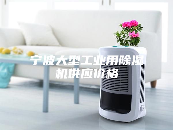 宁波大型工业用除湿机供应价格