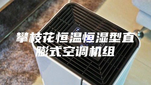 攀枝花恒温恒湿型直膨式空调机组