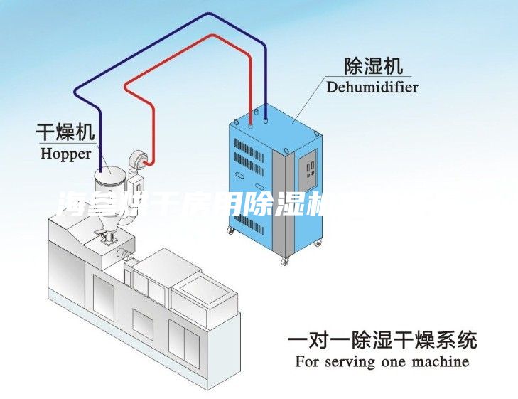 海参烘干房用除湿机高效排湿