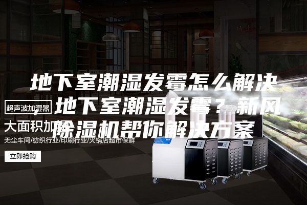 地下室潮湿发霉怎么解决，地下室潮湿发霉？新风除湿机帮你解决方案