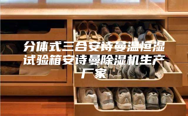 分体式三合安诗曼温恒湿试验箱安诗曼除湿机生产厂家