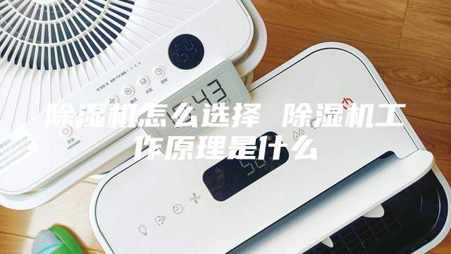 除湿机怎么选择 除湿机工作原理是什么