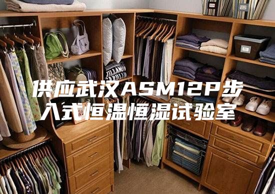 供应武汉ASM12P步入式恒温恒湿试验室