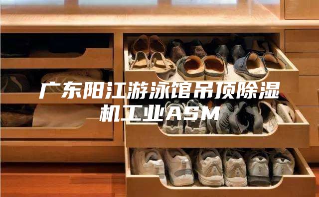 广东阳江游泳馆吊顶除湿机工业ASM