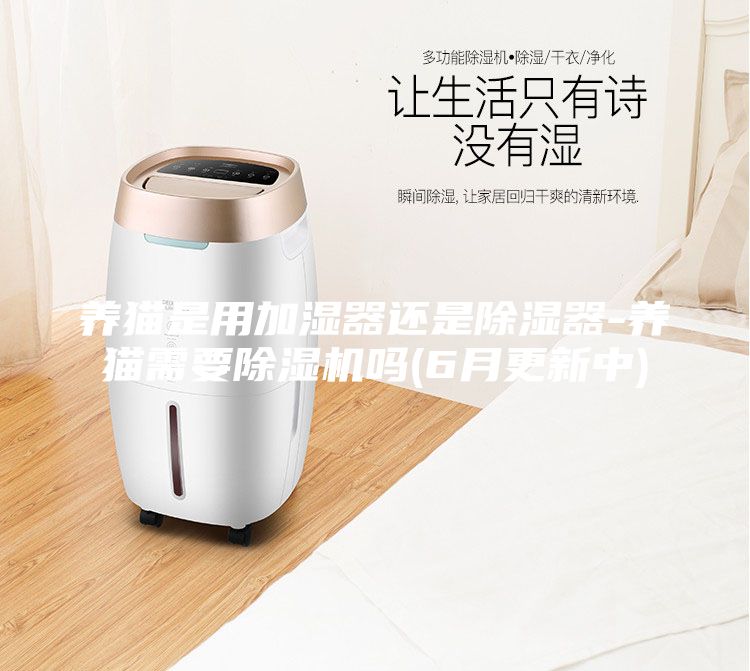 养猫是用加湿器还是除湿器-养猫需要除湿机吗(6月更新中)