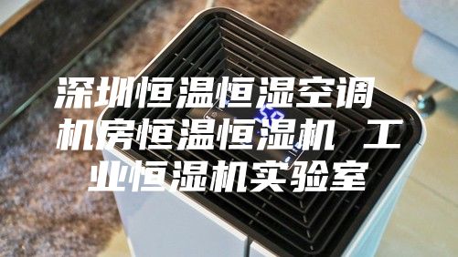 深圳恒温恒湿空调 机房恒温恒湿机 工业恒湿机实验室