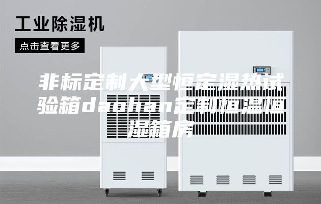 非标定制大型恒定湿热试验箱daohan定制恒温恒湿箱房