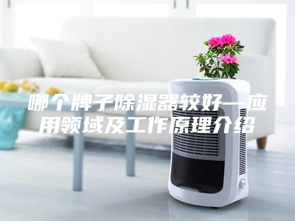 哪个牌子除湿器较好—应用领域及工作原理介绍