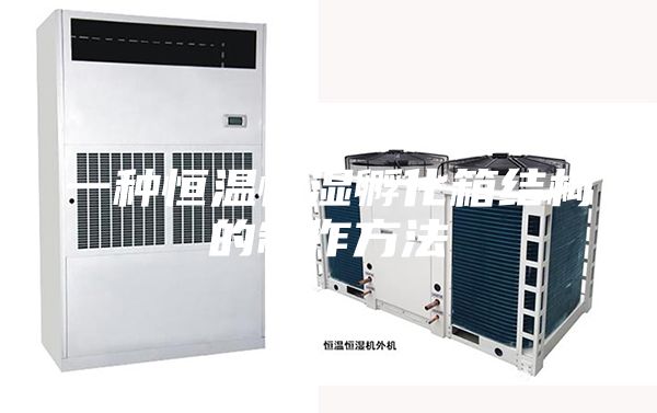 一种恒温恒湿孵化箱结构的制作方法