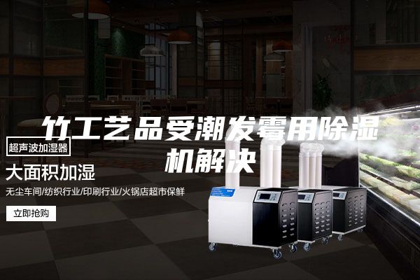 竹工艺品受潮发霉用除湿机解决