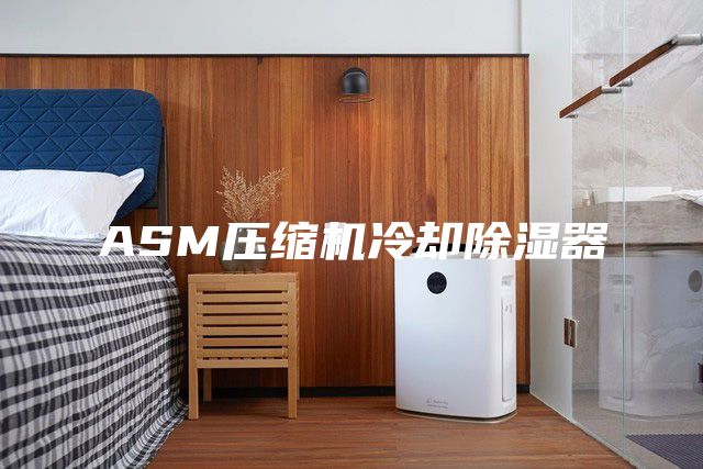 ASM压缩机冷却除湿器