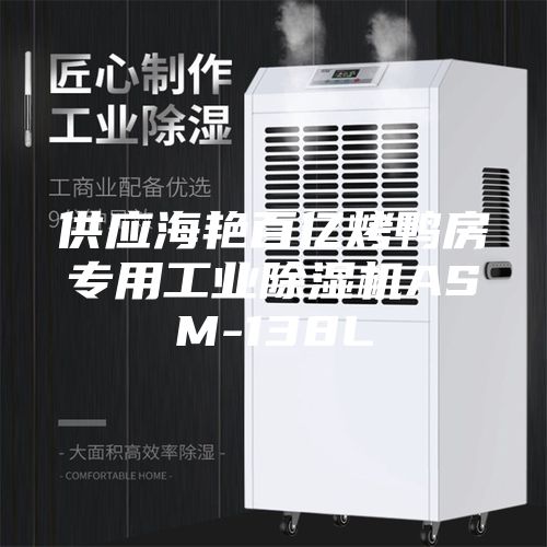 供应海艳百亿烤鸭房专用工业除湿机ASM-138L