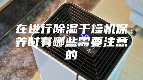 在进行除湿干燥机保养时有哪些需要注意的