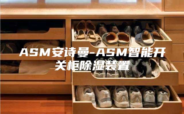 ASM安诗曼-ASM智能开关柜除湿装置