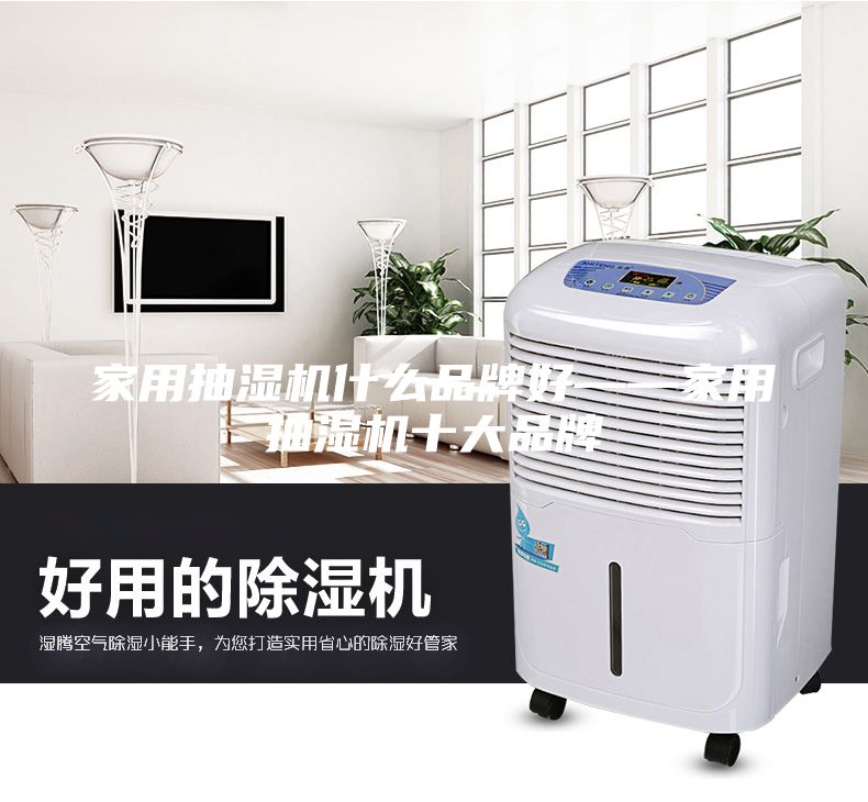 家用抽湿机什么品牌好——家用抽湿机十大品牌