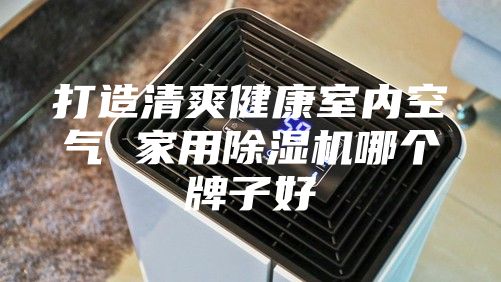 打造清爽健康室内空气 家用除湿机哪个牌子好