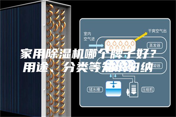 家用除湿机哪个牌子好？用途、分类等知识归纳