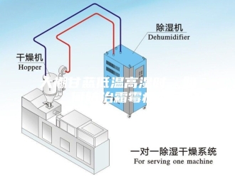 知识百科大棚甘蓝低温高湿时，如何防治霜霉病？