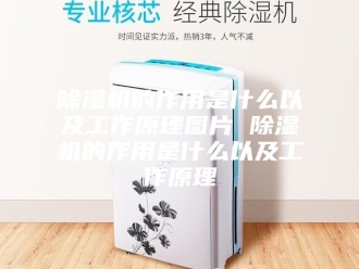 企业新闻除湿机的作用是什么以及工作原理图片 除湿机的作用是什么以及工作原理