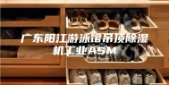 广东阳江游泳馆吊顶除湿机工业ASM