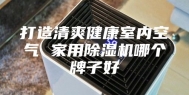 打造清爽健康室内空气 家用除湿机哪个牌子好