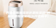 养猫是用加湿器还是除湿器-养猫需要除湿机吗(6月更新中)