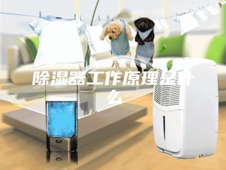 知识百科除湿器工作原理是什么