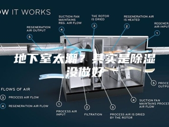 知识百科地下室太潮？其实是除湿没做好