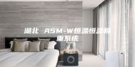 湖北 ASM-W恒温恒湿称重系统