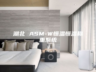 常见问题湖北 ASM-W恒温恒湿称重系统